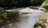 Tour Wandern Houyet - Rando Celles - GR le long de la Lesse - Photo 1