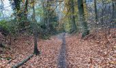 Trail Walking Holsbeek - Holsbeek 15 km - Photo 13