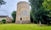 Tour Zu Fuß Villeneuve-sur-Yonne - Villeneuve Sur Yonne - Sens 32 km étape 1/3 - Photo 11