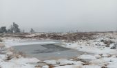 Trail Walking Spa - entre fagne et bois - version courte - Photo 14