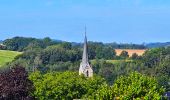 Tour Wandern Onhaye - Balade de Sommière à Weillen - Photo 14