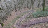 Trail Walking Yvoir - BOUCLE Moyenne distance - Photo 14