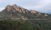 Tour Wandern Saint-Raphaël - Les grues et le Mont St Martin depuis le col Notre Dame - Photo 18