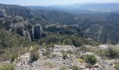 Excursión Ruta Cheval-Blanc - Font de l’Orme-Croix de Fer-Menerbes-Pic Faiendre(17K 950D+) - Photo 1