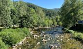 Tour Wandern Avène - Avène La plaine de Sadde - Photo 1