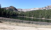 Tour Wandern Le Lauzet-Ubaye - crête du col bas - Photo 1