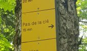 Trail Walking Autrans-Méaudre en Vercors - La grande Breche - Photo 3