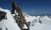 Trail Walking Chamonix-Mont-Blanc - Gare de Montenvers - Signal Forbes - Plan de l'Aiguille - Photo 10