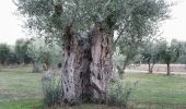 Percorso A piedi Unknown - European long distance path E6 - part Greece - Photo 7