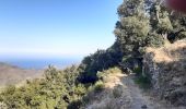 Trail Walking Banyuls-sur-Mer - puig de sallfort depuis coll de vallauria - Photo 2