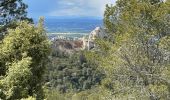 Tour Wandern Saint-Rémy-de-Provence - PF-Saint Rémy de Provence - Lac du Peiroou - La Caume - Photo 17