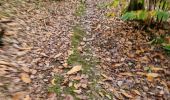 Trail Walking Vendôme - Petit parcours dans la partie Sud-est du Bois de l'Oratoire - Photo 12
