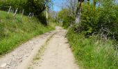 Randonnée Marche Courgoul - Les gorges de Courgouls et le Pic de Cluzel - Photo 6