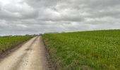 Tour Wandern Ellezelles - La Hamaide 9,2 km - Photo 6