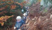 Trail Walking Fontainebleau - vert galant 25 novembre 2022  - Photo 4