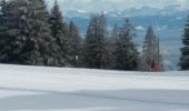 Randonnée Raquettes à neige Sainte-Croix - Col des Etroits Le Chasseron CAF - Photo 18