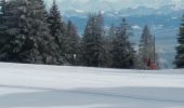 Tocht Sneeuwschoenen Sainte-Croix - Col des Etroits Le Chasseron CAF - Photo 18