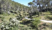 Trail Walking Tarascon - CR_Domitia_BA_23_Tarascon_St-Remy-Provence_20220404 - Photo 8
