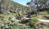 Tour Wandern Tarascon - CR_Domitia_BA_23_Tarascon_St-Remy-Provence_20220404 - Photo 8