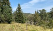 Tocht Stappen Saint-Agnan-en-Vercors - Col de soulier - Photo 8