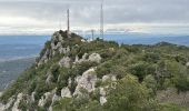 Tour Wandern La Roquebrussanne - La Roquebrussanne dec 2023 - Photo 16