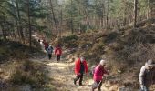 Trail Walking Fontainebleau - croix du grand maître 3mars 2023  - Photo 14