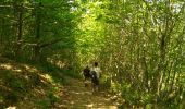 Trail Walking Urrugne - Sentier des mulets  - Photo 8