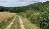 Tour Wandern Val-Revermont - Le mont Myon  - Photo 9