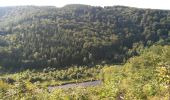 Trail Walking Houffalize - Philippe mardi - Photo 3