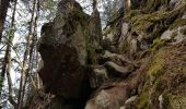 Randonnée Marche Le Valtin - Col de la Schlucht - sentier des Roches - Petit Honneck - Honneck - Trois Fours - Photo 11