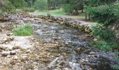 Randonnée Marche Mouthe - SOURCE DU DOUBS - Photo 4