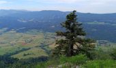 Excursión Senderismo Saint-Martin-en-Vercors - Pas st Martin - Photo 15