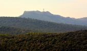 Tocht Stappen Solliès-Toucas - SityTrail - siou blanc - Photo 6