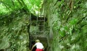 Trail On foot Houyet - GrWandArdRiv27: Gendron: een prachtig stuk Beneden-Lesse (PVDB) - Photo 9