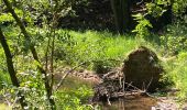 Tocht Stappen Manhay - Moulin de Lafosse - Photo 4