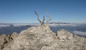 Trail On foot Tarvisio - IT-518 - Photo 10