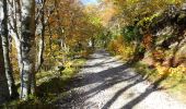 Randonnée Marche Saou - Tour de la Forêt de Saoû - Photo 6