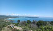 Tocht Stappen Ramatuelle - L'Escalet au cap Camarat  - Photo 1