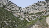 Randonnée Marche Évenos - Cap Gros en partant du col du corps de Garde - Photo 8