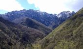 Tour Zu Fuß Tremosine sul Garda - San Michele, Malga Lorina - Photo 8