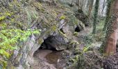 Randonnée Marche Viroinval - Nismes parcours géologique ouest 10,8 km - Photo 10