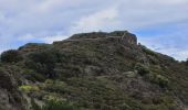Tocht Stappen Collioure - Tour Madeloc-Boucle_col-de-Serra_T - Photo 2