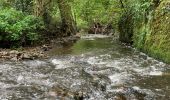 Tocht Stappen Seraing - Croix jaune - Bois de l'Abbaye - Photo 1