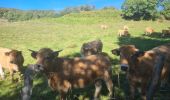 Randonnée Marche nordique Les Salces - Boucle du Loup depuis les Salces - Photo 10