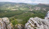 Randonnée Marche Solutré-Pouilly - La roche de Solutré  - Photo 2