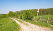 Trail On foot Schlangen - Rundwanderweg A2 [Langes Tal] - Photo 1