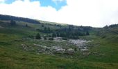 Randonnée Marche Entremont-le-Vieux - Croix de l Alpe Le Pinet  - Photo 2