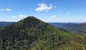 Trail Walking Grandfontaine - Positions fortifiées du Donon sentier des casemates - nord - Photo 14