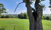 Trail Walking Dalhem - mortroux DA7  - Photo 14