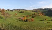 Tour Zu Fuß Weinheim - Rundwanderweg Röckelsberg 4: Röckelsberg-Weg - Photo 4